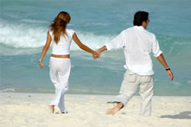 seo-money-maker seo-money-maker